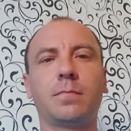 �������, ���������, 37 ���