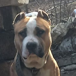 ����, ������, 45 ���