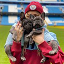 ���� ����, ������ - ��������� 28 ������ 2023 � ������ ���� ����������