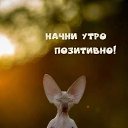  , --, 37  -  16  2023    