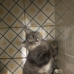 ���� ���, �����������, 21 ��� - ��������� 7 �������� 2023