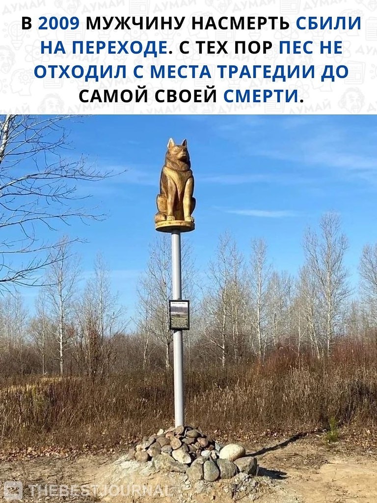  .,          .  ... - 2
