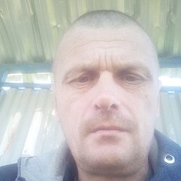 �������, ������, 46 ���