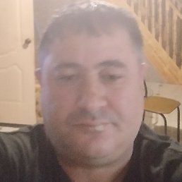 ���, ���������, 49 ���