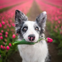 ����, ������, 48 ���