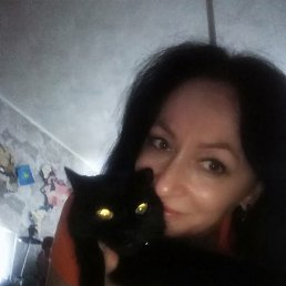 �����, �������������, 53 ����