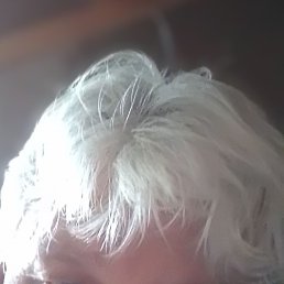 , , 56 