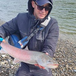 ���������, ����-���������, 47 ���