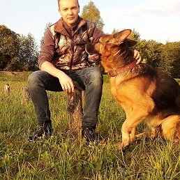 �������, ������ ��������, 44 ����