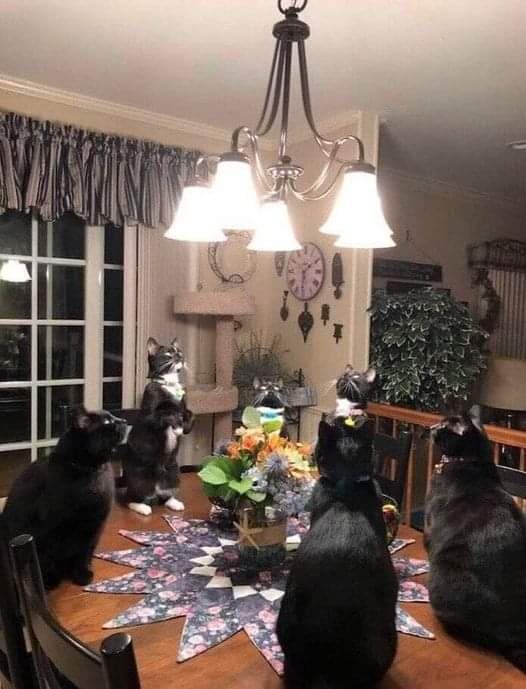    ...)