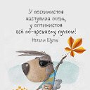 ���� ������, �����, 56 ��� - ��������� 11 ������� 2023 � ������ ���� ����������