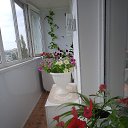  , , 58  -  18  2023    