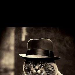 �����, ����-���, 36 ���