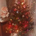 ���� ������, �����������, 40 ��� - ��������� 26 �������� 2023 � ������ ���� ����������