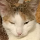 ���� �����, �����, 30 ��� - ��������� 17 ������ 2023 � ������ ���� ����������