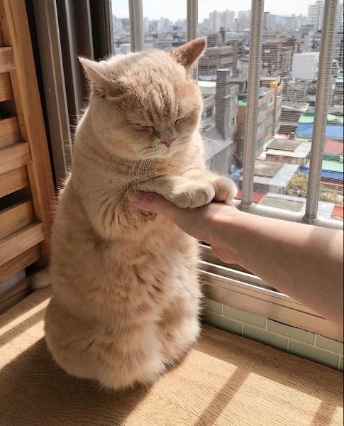  )