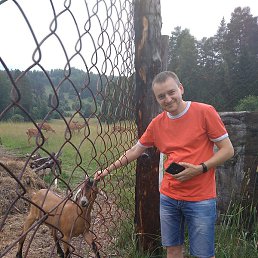 ������, ������, 41 ���