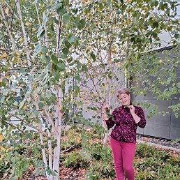 ����, �������, 61 ���