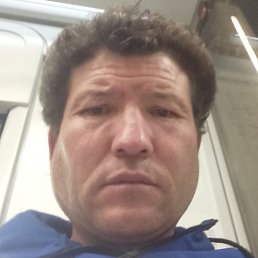 �����, ������, 40 ���