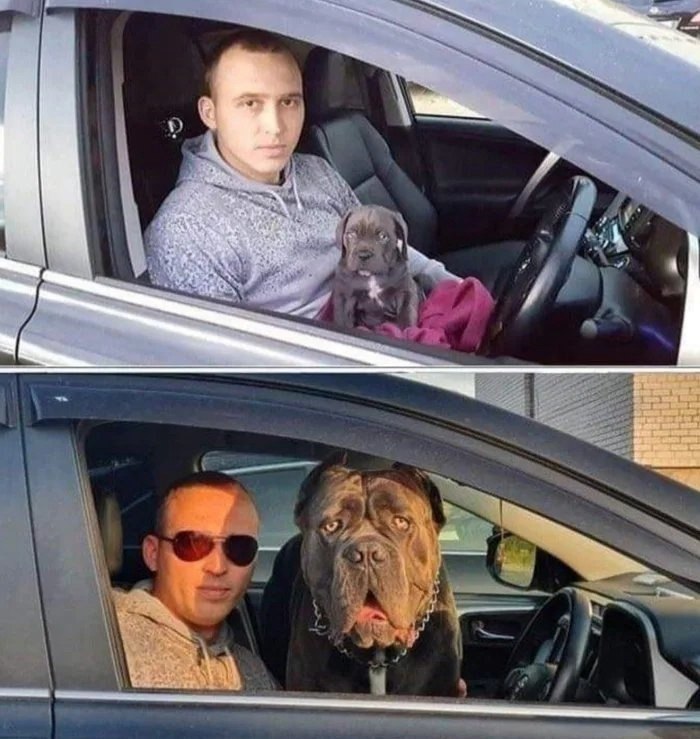 Ce  c