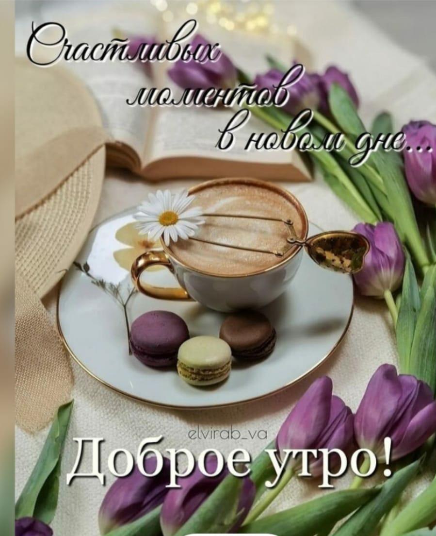 ***Victoria Viktorovna*** - 2  2023  06:06