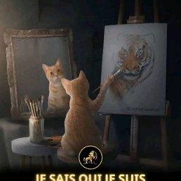 ���� Franck Wilfried, �����, 28 ��� - ��������� 9 ������� 2023