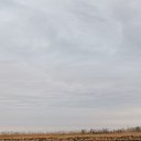 ���� ��������, ���������, 38 ��� - ��������� 12 ������ 2023