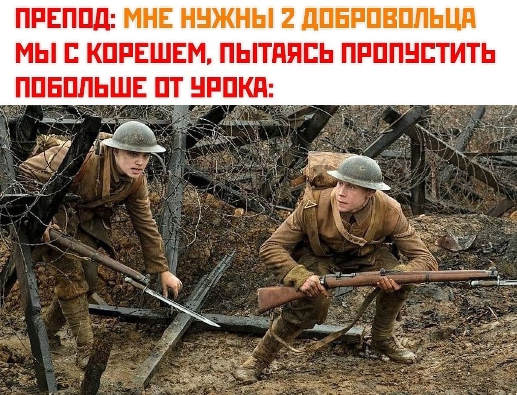 ☆   ☆ - 19  2023  14:10