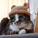 ���� �����, ������������, 35 ��� - ��������� 15 ���� 2023