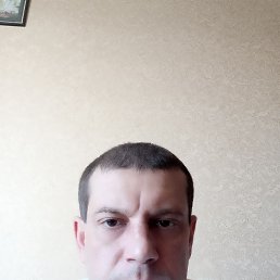 , 44 , 