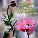 ���� Natali, �����-���������, 64 ���� - ��������� 22 ��� 2023