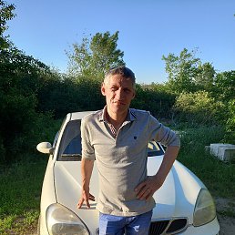 �������, ������, 54 ����