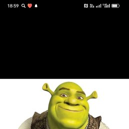 ���������, �����������-��-�����, 55 ���