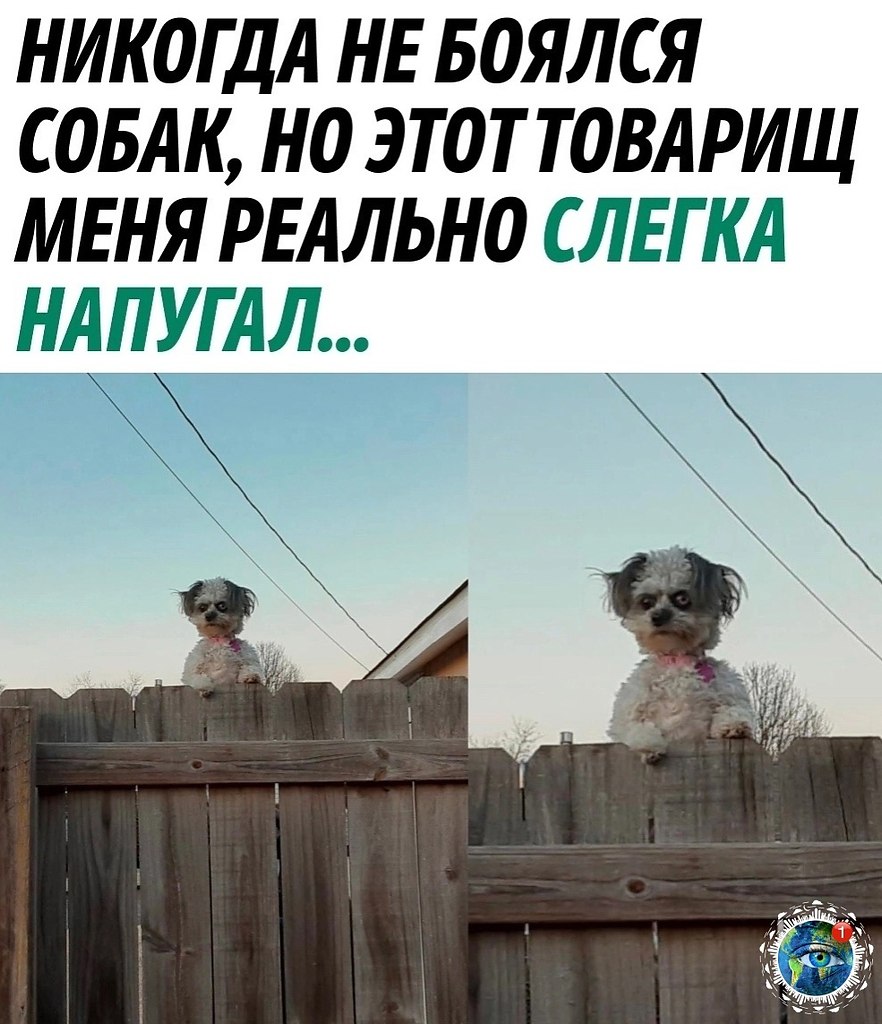 a-o e oe eeo  o ece