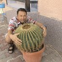 ���� Serjio, ������, 64 ���� - ��������� 25 ������� 2023 � ������ ���� ����������