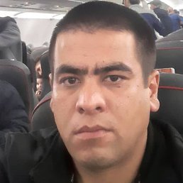 ����, ������, 37 ���