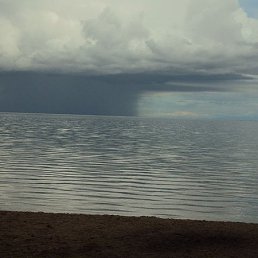 ���� ������, �������, 49 ��� - ��������� 10 ��� 2023