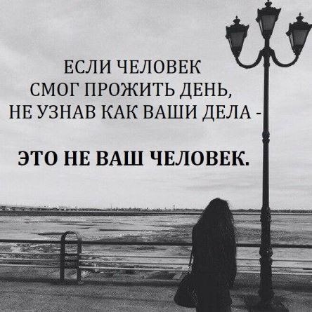 Stella - 10  2023  23:23