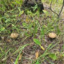 ���� ������, ������ - ��������� 23 ���� 2023 � ������ ������