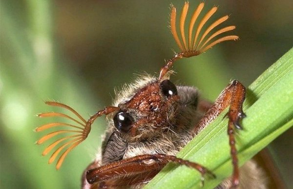 �������� - 18 ��� 2023 � 11:03 - 2