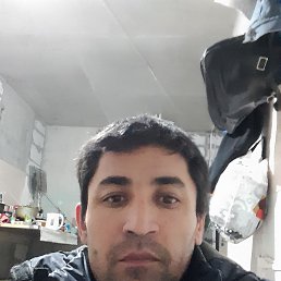 ���� ���� ������ ��������, ������, 39 ��� - ��������� 8 ����� 2023