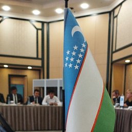 ������, �������, 40 ���