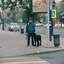 ���� �������, ��������, 53 ���� - ��������� 17 ������� 2023 � ������ ���� ����������