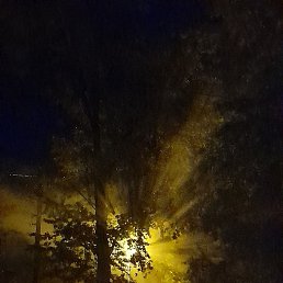 �������, ������, 41 ���