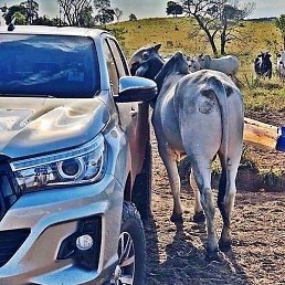 Javi, ������������, 31 ���