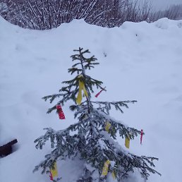 ���, ������, 35 ���