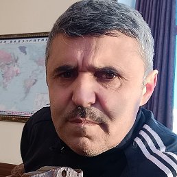 �����, �����-���������, 53 ����