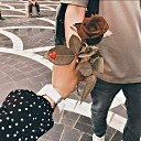 ���� ���, ������, 38 ��� - ��������� 10 ����� 2023 � ������ ���� ����������