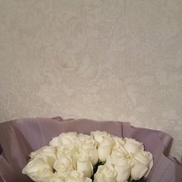 ���� Sev, ������, 43 ���� - ��������� 2 ������ 2023