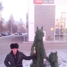 ������, ������, 41 ���